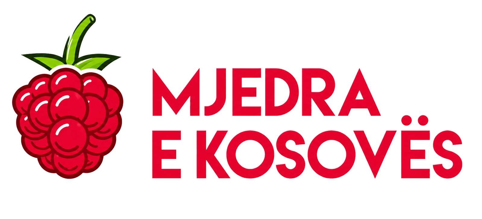 Partner 2